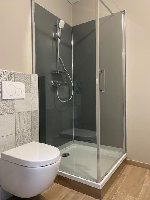 Appartement Proximite Centre Mulhouse Eksteriør billede